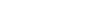 Leadership Capital