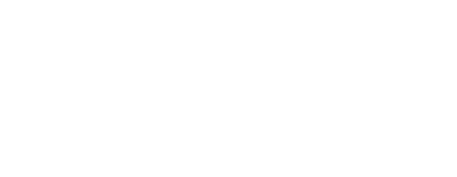 Leadership Capital